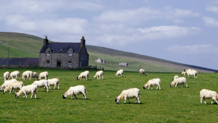 According to the IPCC, humanity currently uses 72% of the Earth's ice-free land surface